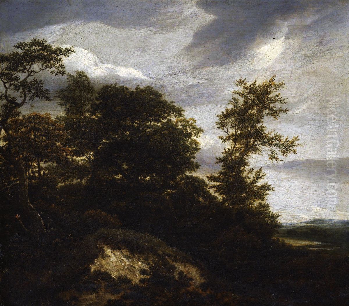 Wooded Dune Landscape Oil Painting by Jacob Van Ruisdael