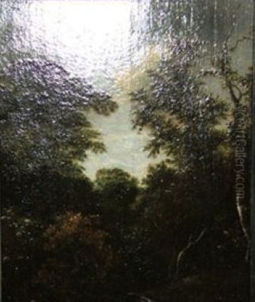 Wooded Landscape Oil Painting by Jacob Van Ruisdael