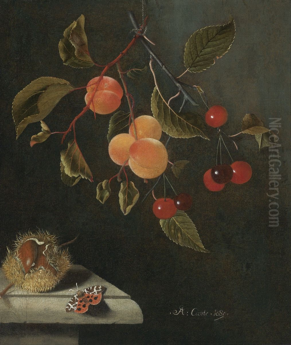 Still life with a butterfly, apricots, cherries and a chestnut Oil Painting by Adriaen Coorte