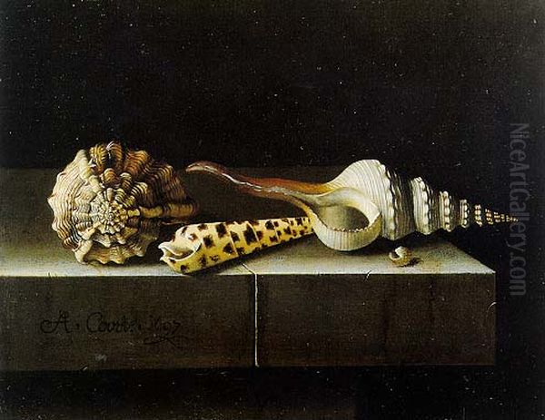 Still Life with Shells Oil Painting by Adriaen Coorte
