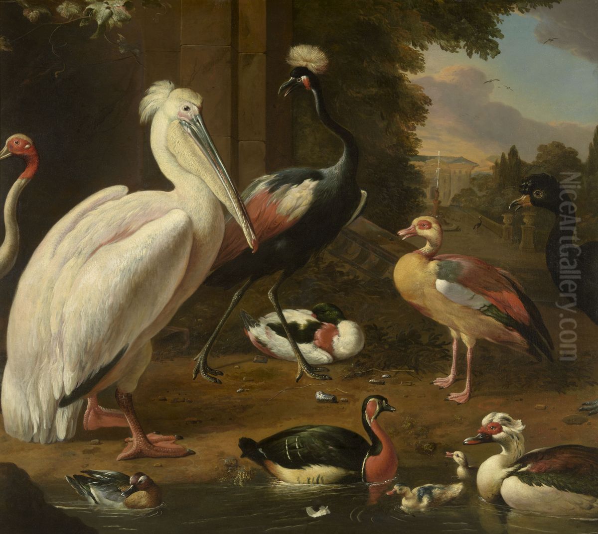 Water Birds Oil Painting by Melchior D'Hondecoeter
