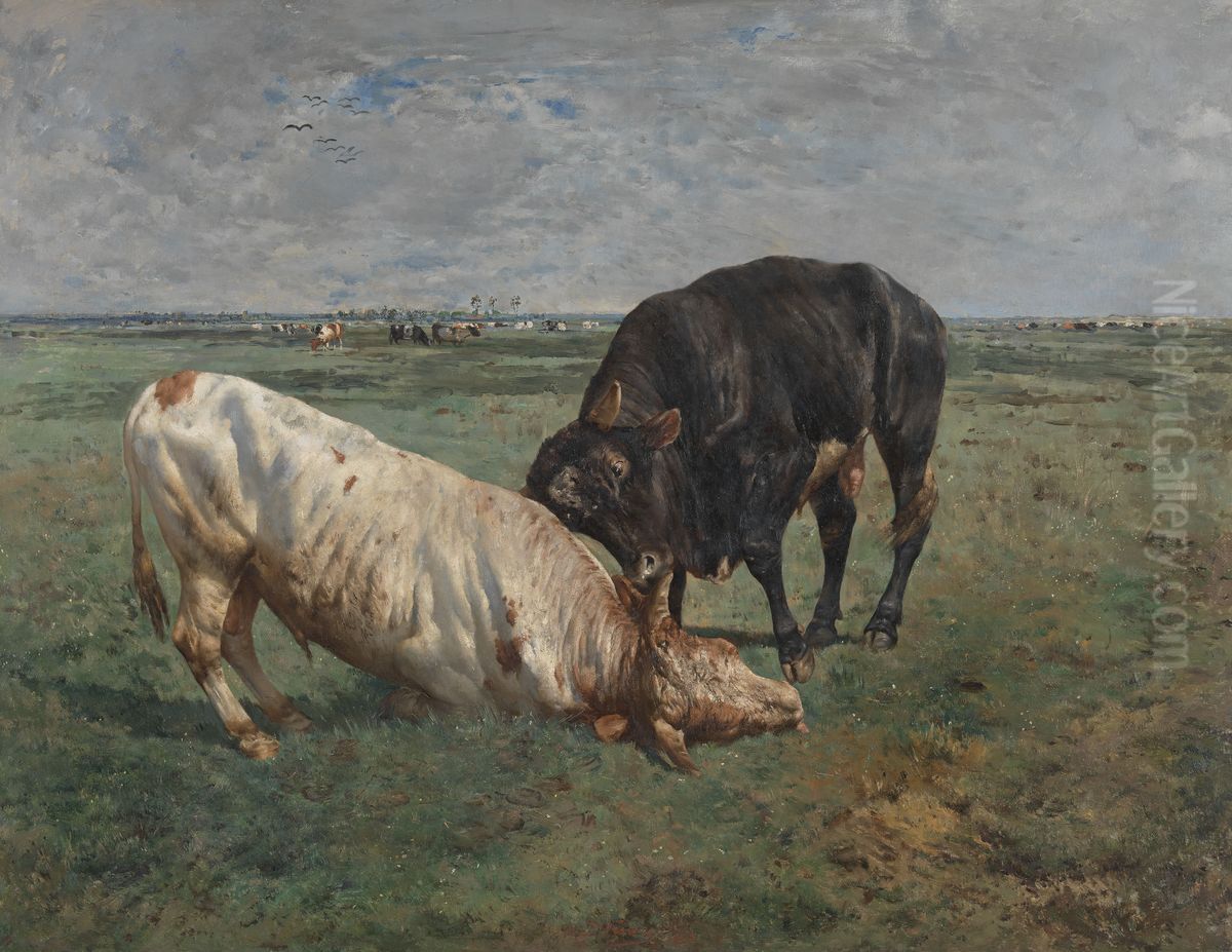 Two Young Bulls Fighting Oil Painting by Alfred Verwee