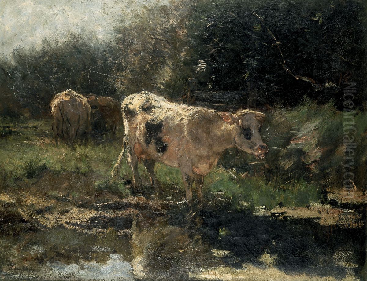 Cows at a Watering Place Oil Painting by Willem Maris