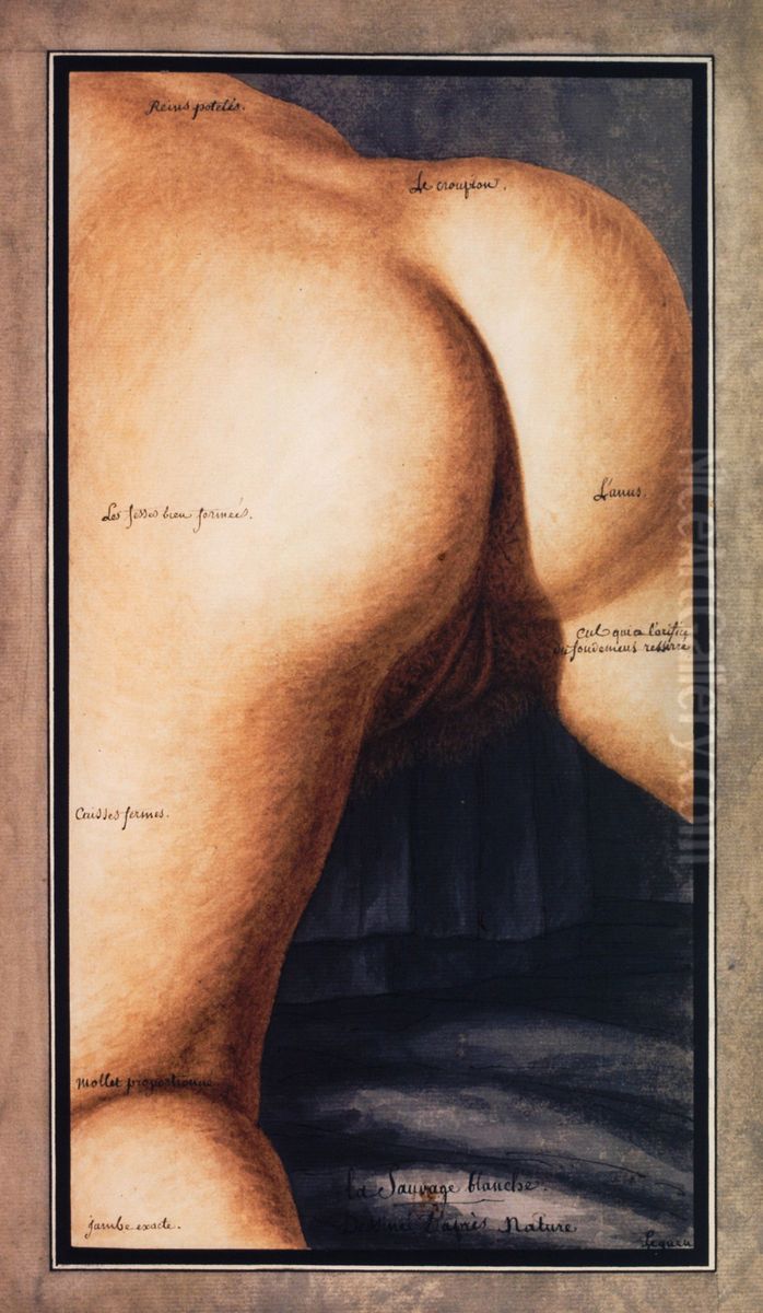 La Sauvage blanche, dessinee d'apres nature Oil Painting by Jean-Jacques Lequeu