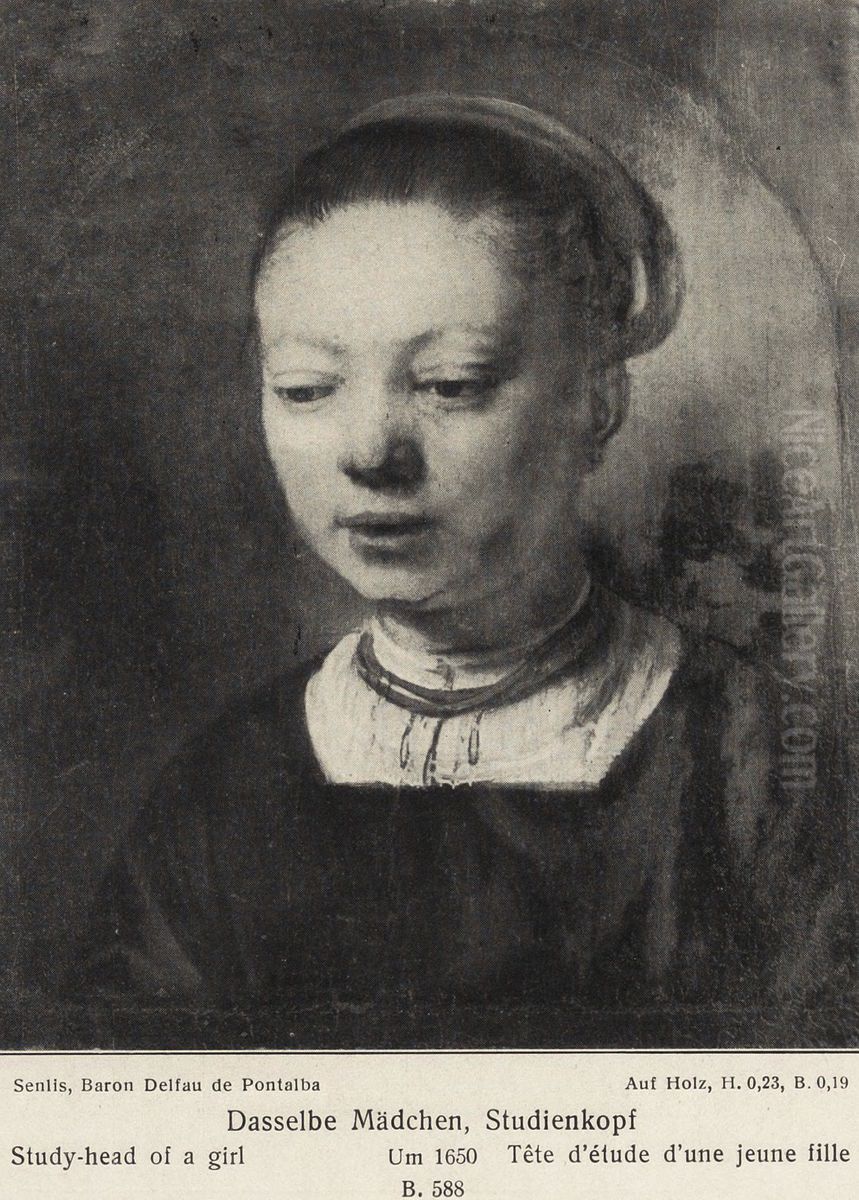 Bust of a young girl Oil Painting by Rembrandt