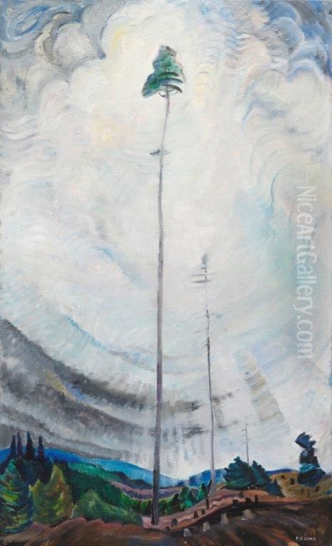 Scorned as Timber, Beloved of the Sky Oil Painting by Emily M. Carr