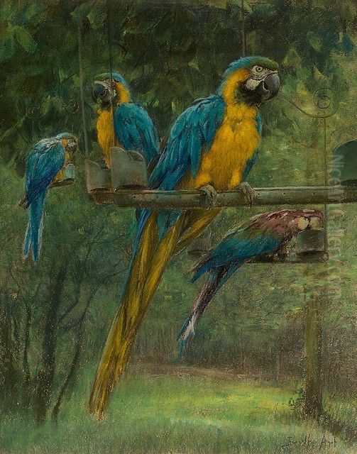 Blue and Yellow Macaws Oil Painting by Berthe Art