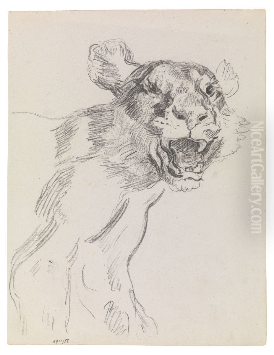 Studie van een wild dier Oil Painting by James Ensor