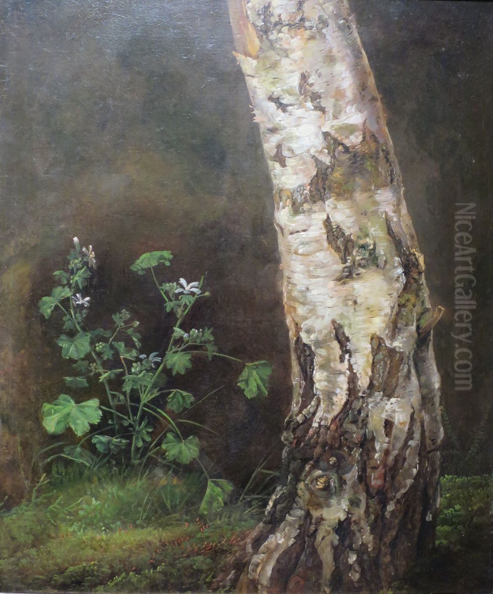 Study of the lower Trunk of a Birch Tree Oil Painting by Johan Wilhelm Ludwig Dahl