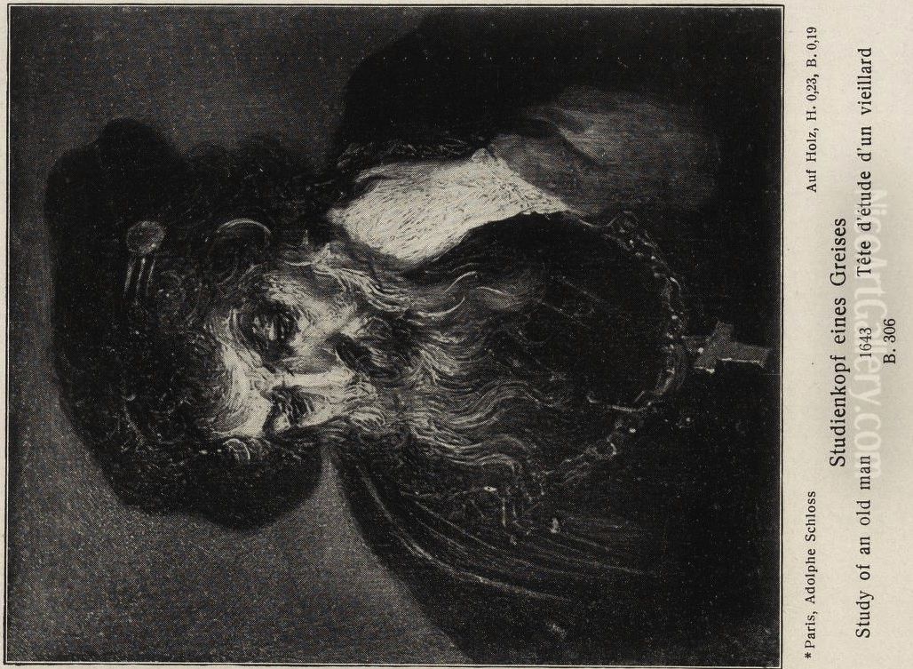 An Old Man almost in Full Face Oil Painting by Rembrandt