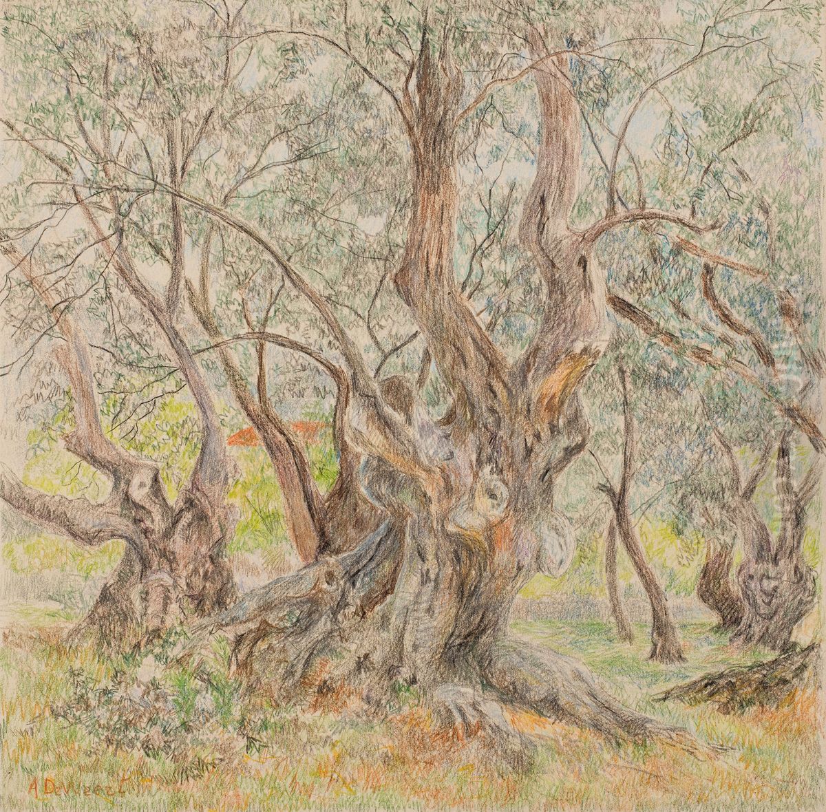 Oude olijfbomen Oil Painting by Anna de Weert