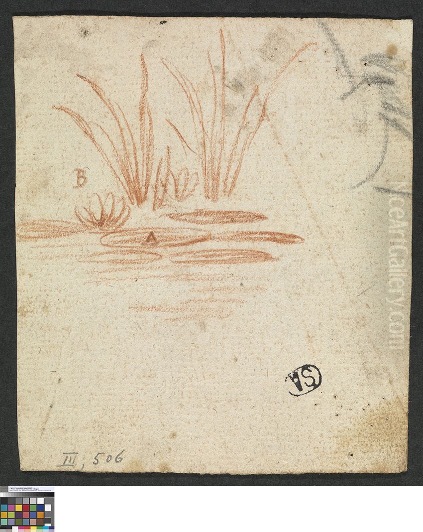 Waterlelie Oil Painting by Jan Anton Garemyn