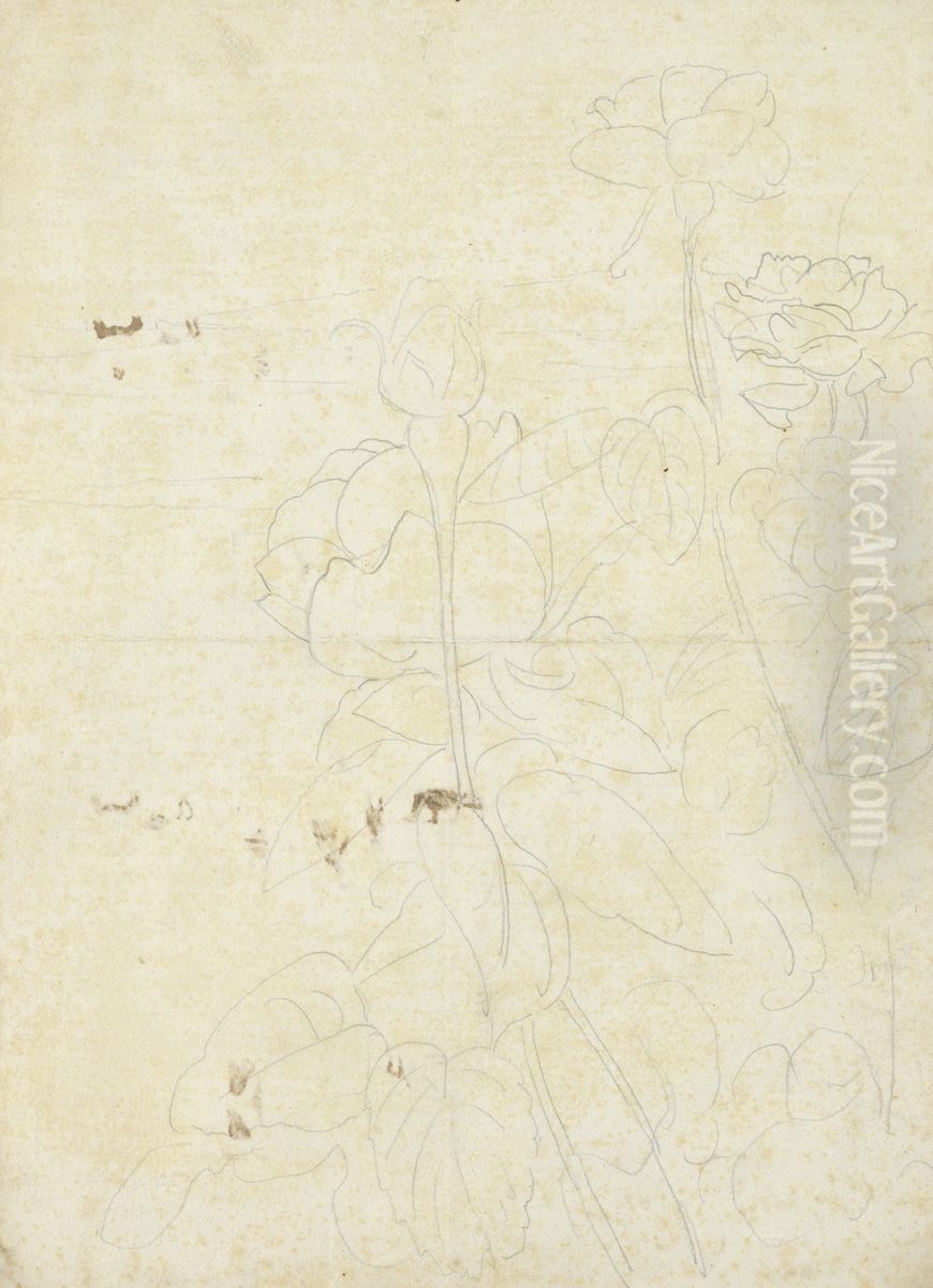 Schetsen van rozen (verso) Oil Painting by Leon Spilliaert