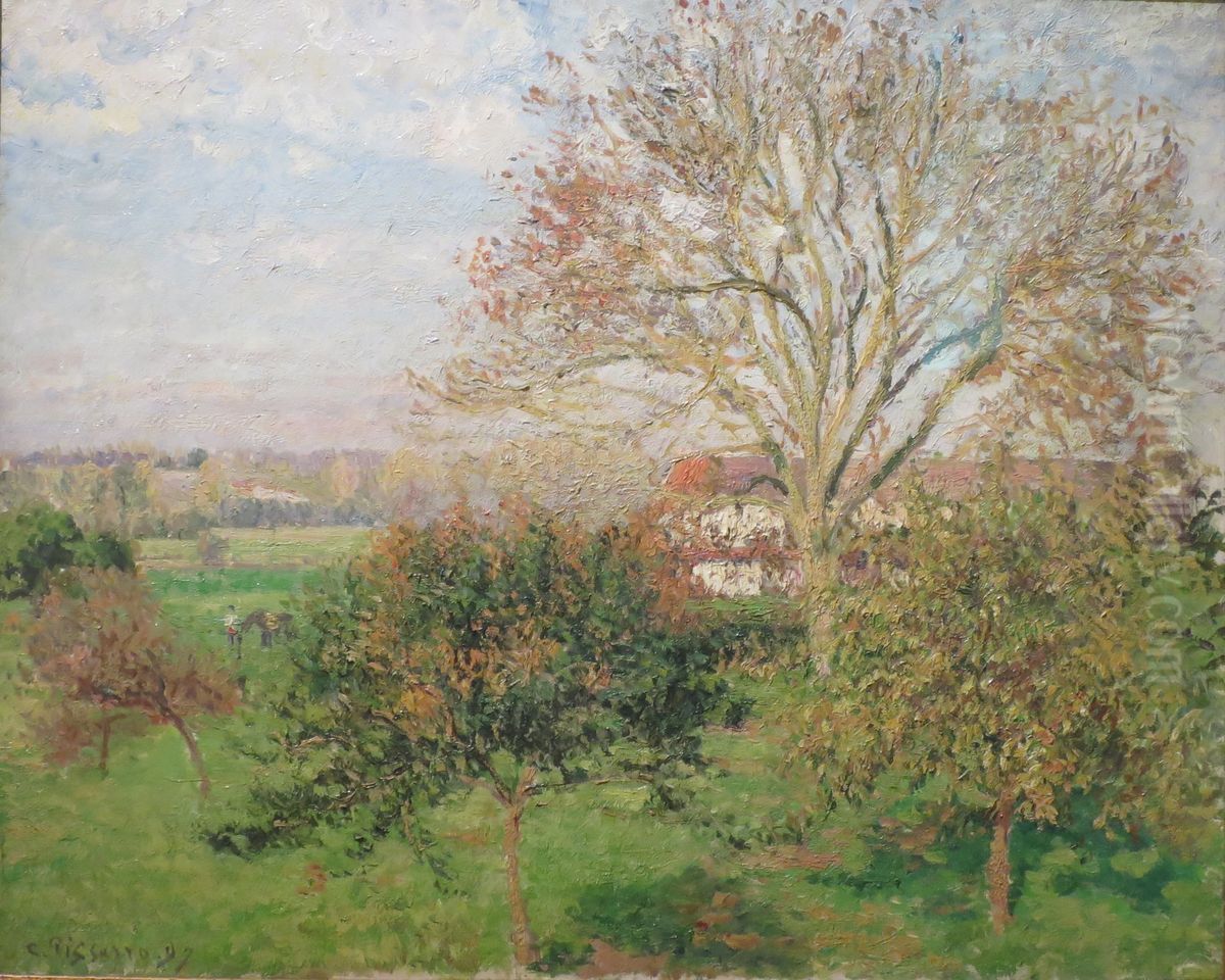 Le Grand Noyer, matin d'automne, Eragny(Matin d'automne a Eragny) Oil Painting by Camille Pissarro
