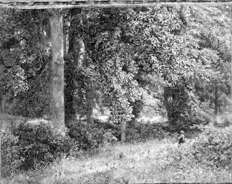 Tulip Trees Oil Painting by William Trost Richards