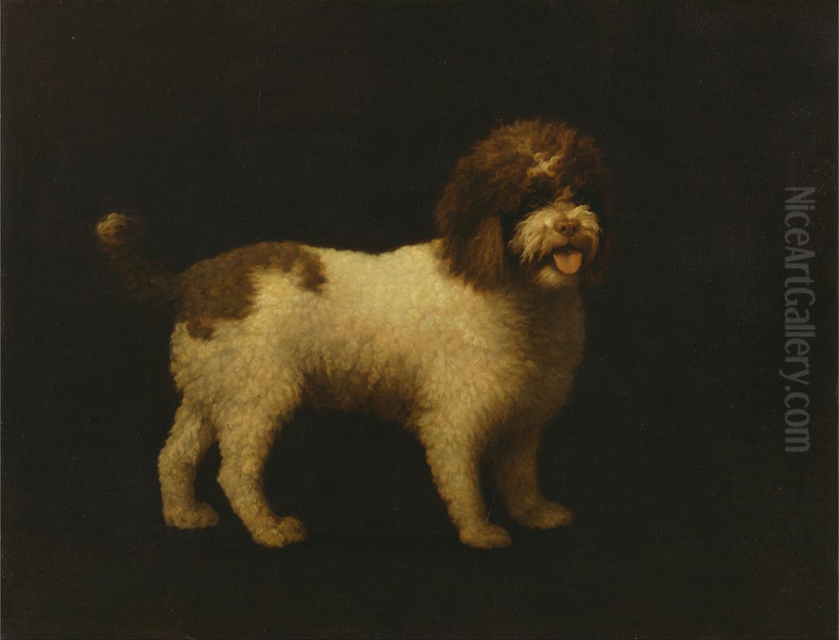 Water Spaniel Oil Painting by George Stubbs