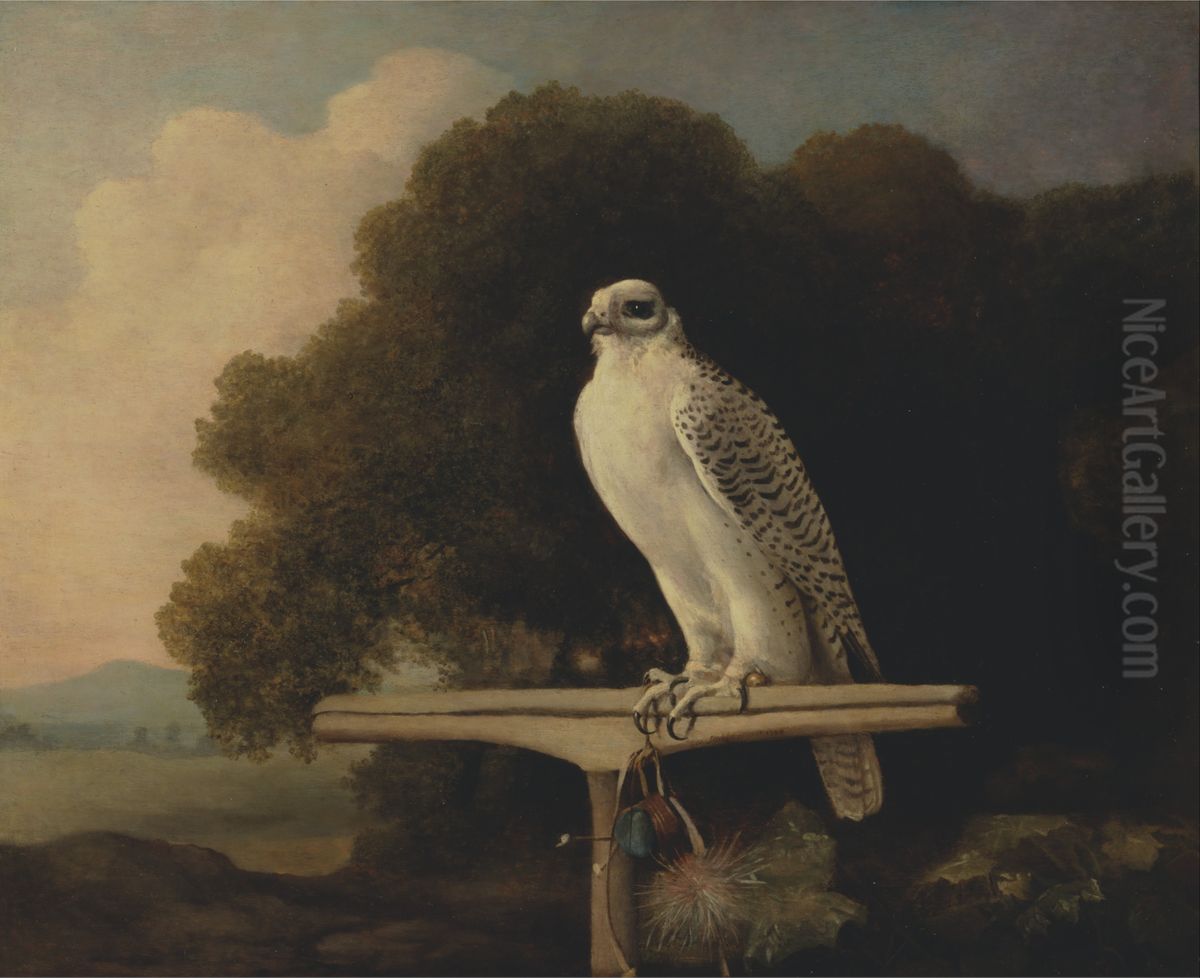 Greenland Falcon Oil Painting by George Stubbs