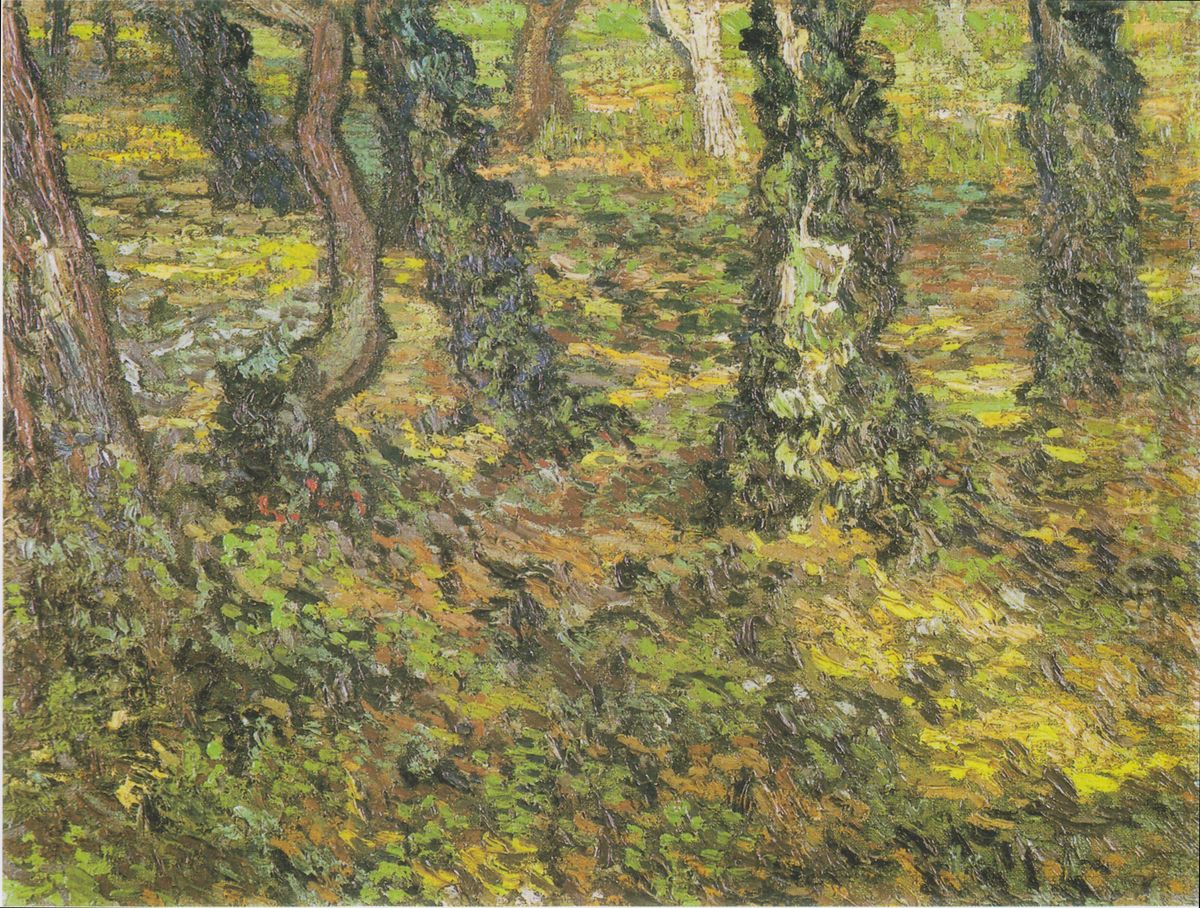 Undergrowth, with ivy Oil Painting by Vincent Van Gogh