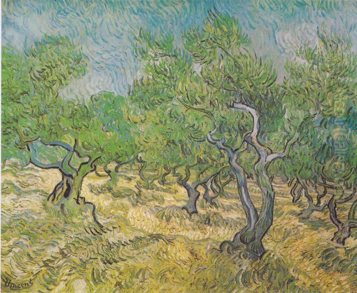 Olivenhain Oil Painting by Vincent Van Gogh