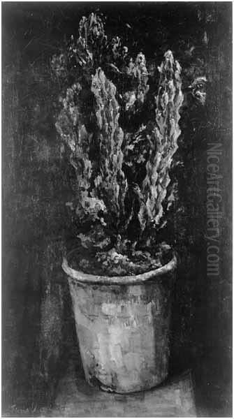 Cactus in pot Oil Painting by Floris Verster