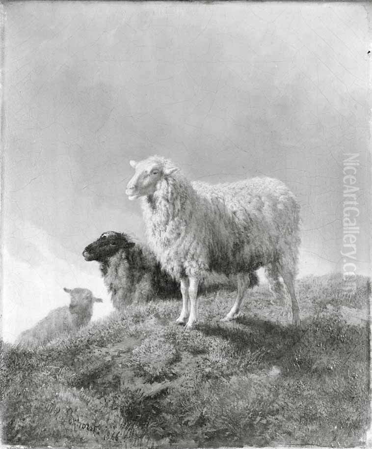 Schapen in een weide Oil Painting by Dirk Van Lokhorst