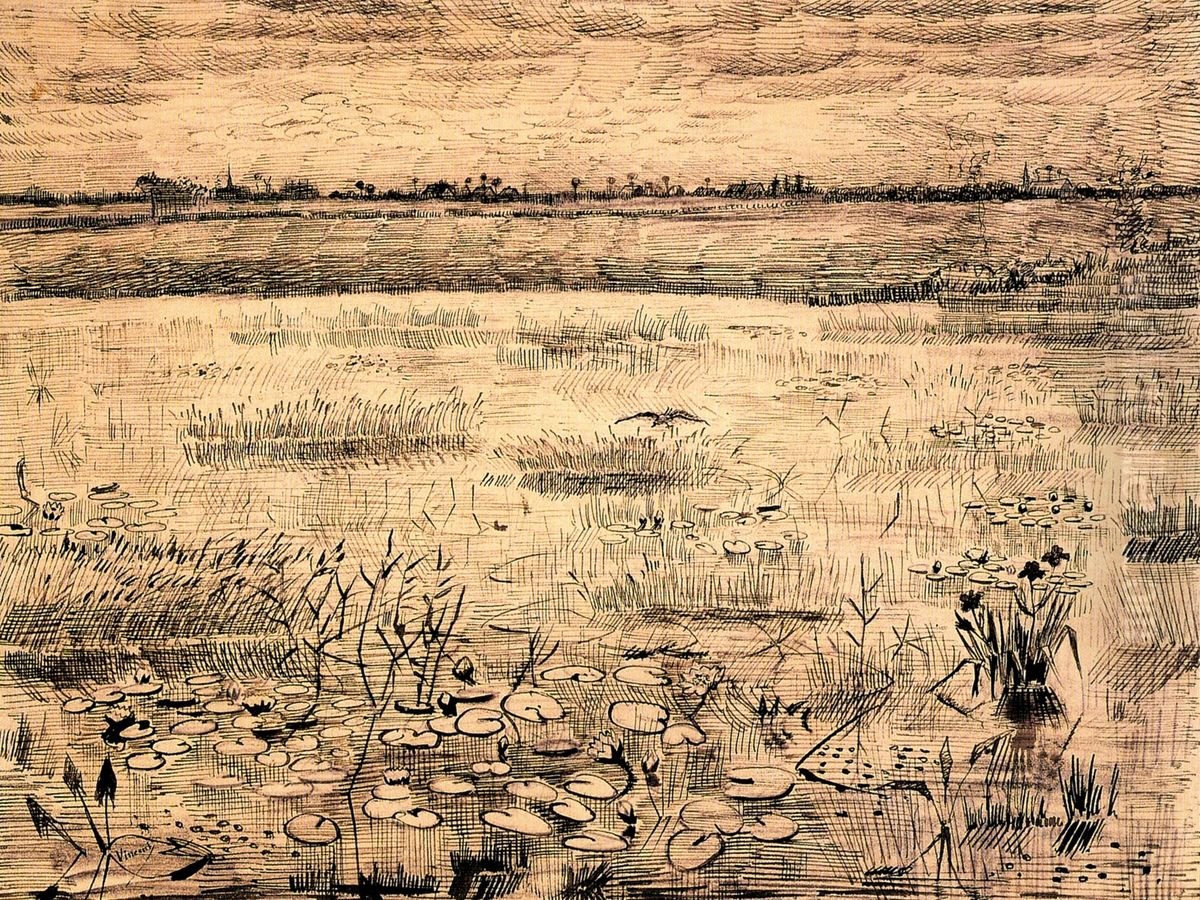 Marsh with Water Lilies Oil Painting by Vincent Van Gogh