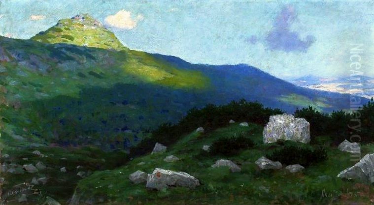 Submontane landscape - Kopa Magury in Zakopane Oil Painting by Eligiusz Niewiadomski