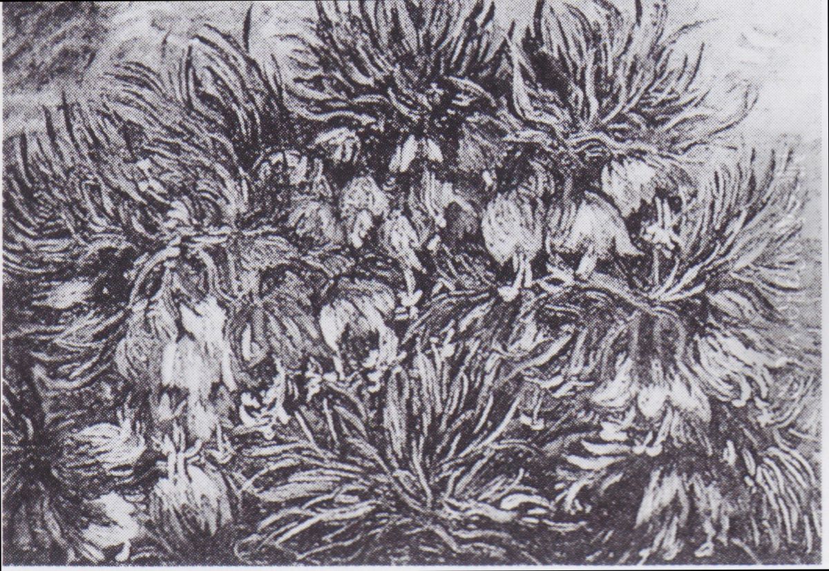 Bushels of fritillaries Oil Painting by Vincent Van Gogh