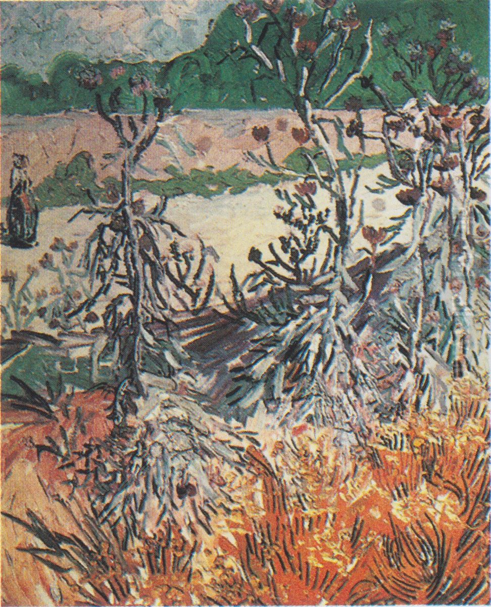 Disteln Oil Painting by Vincent Van Gogh