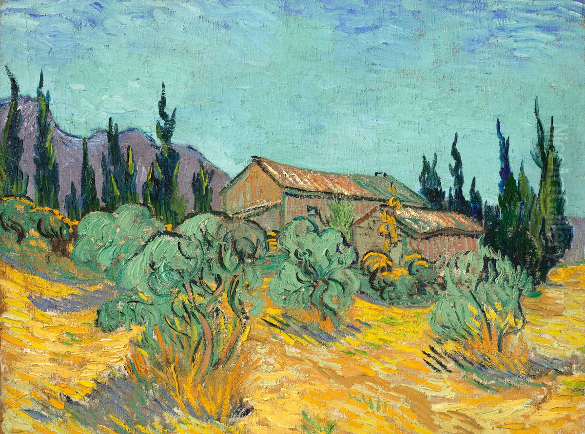 Cabanes de bois parmi les oliviers et cypres Oil Painting by Vincent Van Gogh