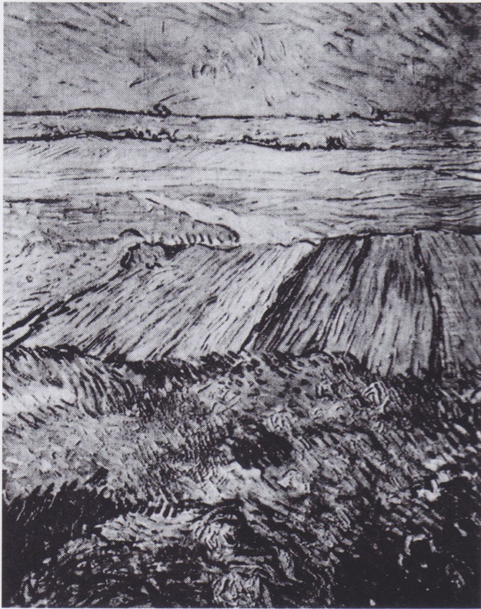 Wheat fields Oil Painting by Vincent Van Gogh