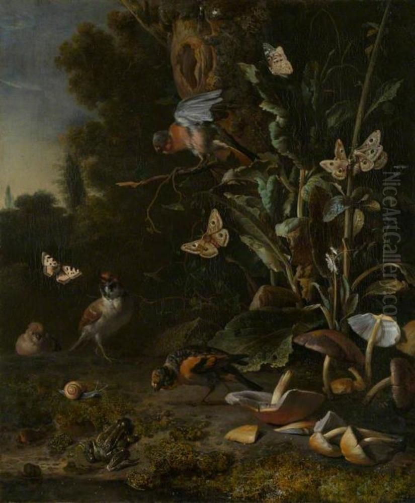 Birds, Butterflies and a Frog among Plants and Fungi Oil Painting by Melchior D'Hondecoeter