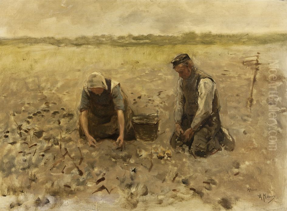 On the field Oil Painting by Anton Mauve