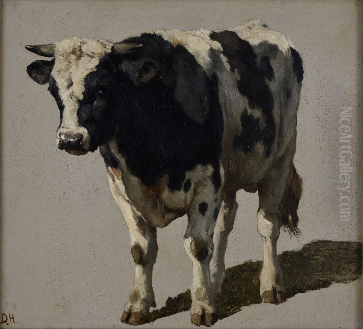 Studie van een stier Oil Painting by Johannes-Hubertus-Leonardus de Haas