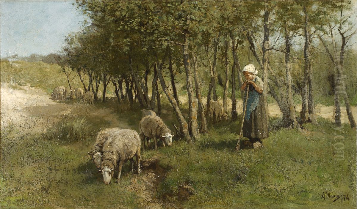 Sheep in Dekkersduin Oil Painting by Anton Mauve