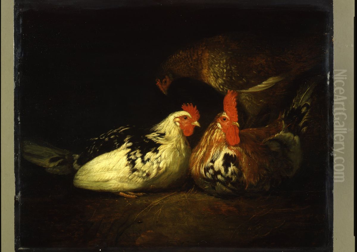 Een haan met twee kippen Oil Painting by Jacob Gerritsz. Cuyp