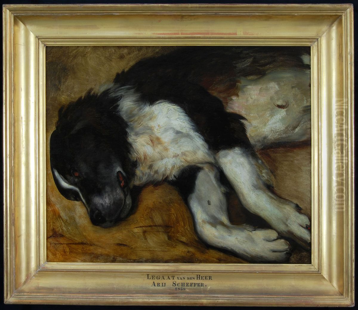 Turc, de hond van de kunstenaar, na zijn dood Oil Painting by Ary Scheffer