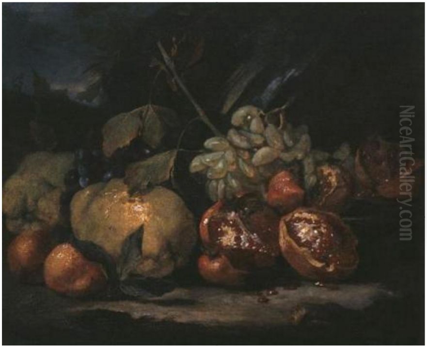Still life with white grapes Oil Painting by Michelangelo Cerquozzi