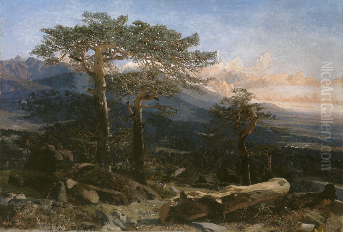 Paisaje del Guadarrama Oil Painting by Martin Rico