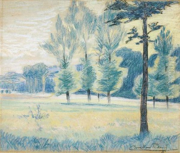 Landschaft Mit Wiesen Und Baumen Oil Painting by Emile Gustave Cavallo-Peduzzi