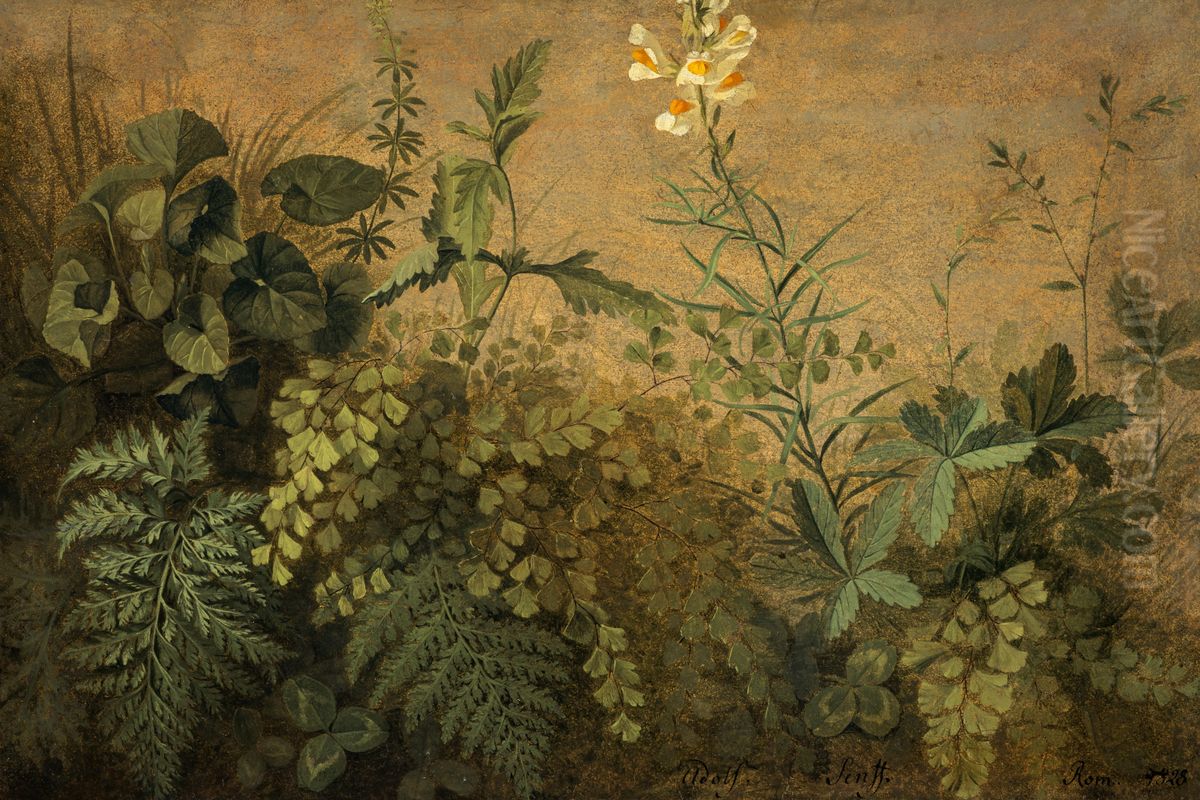 Pflanzenstudie Oil Painting by Adolf Senff