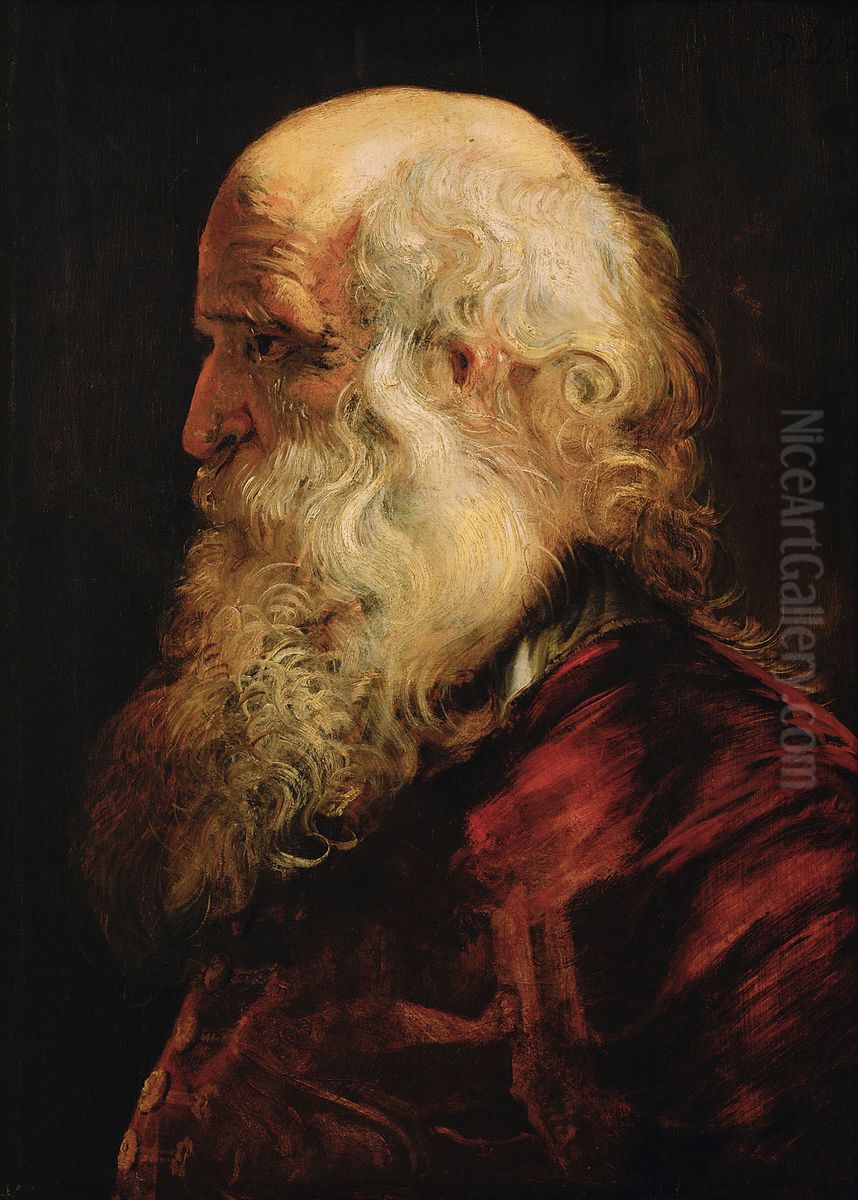 Studienkopf eines Greises Oil Painting by (studio of) Rubens, Peter Paul