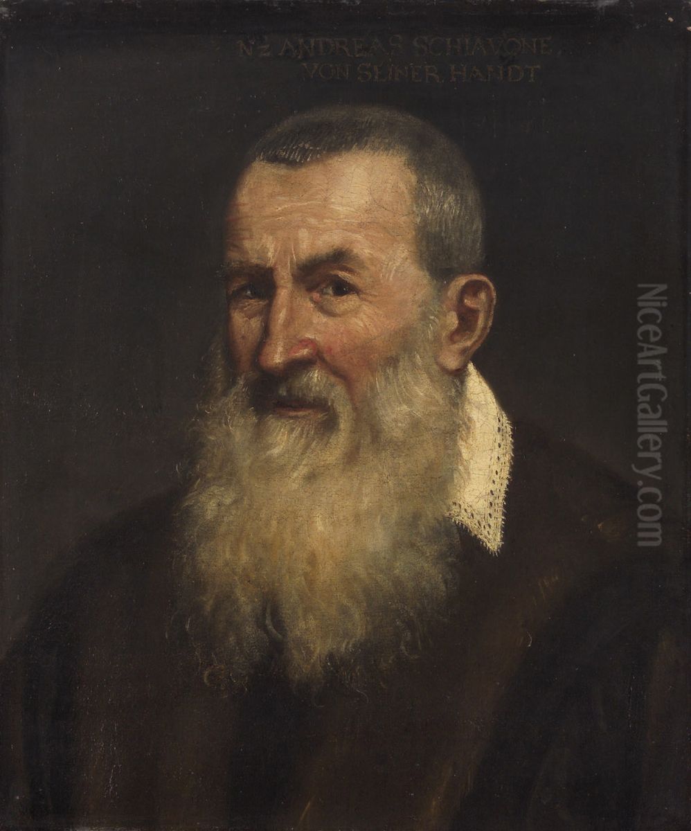 Bildnis eines Greises Oil Painting by Andrea Schiavone