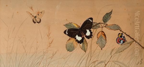 Butterflies Oil Painting by Neville Henry Peniston Cayley