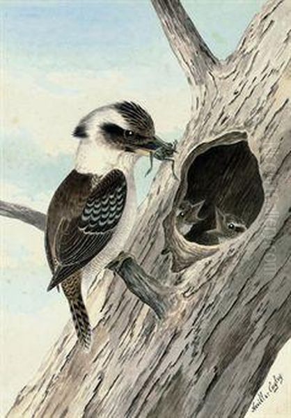 A Kookaburra Feeding A Frog To Its Young Oil Painting by Neville Henry Peniston Cayley