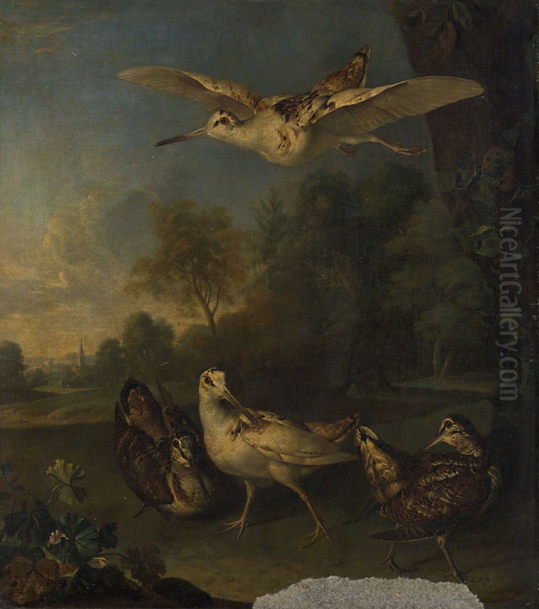 Weisse und braune Schnepfen Oil Painting by Philipp Ferdinand de Hamilton