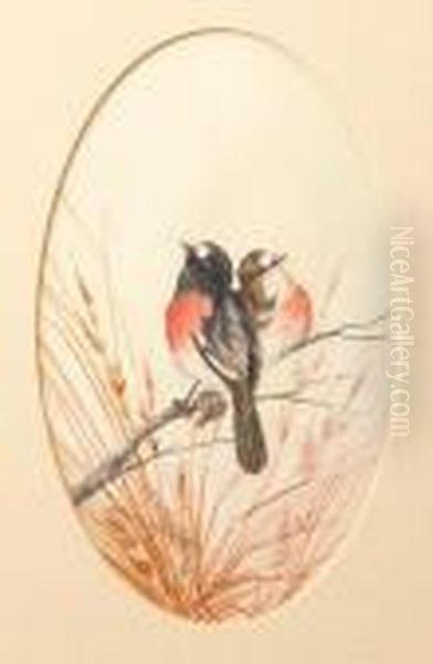 Azure Kingfisher Oil Painting by Neville Henry Peniston Cayley