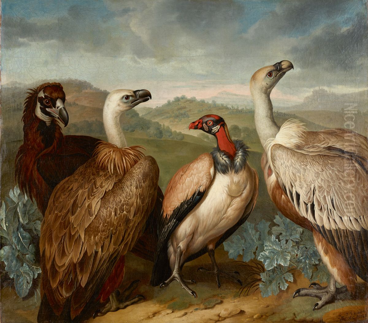 Four Vultures of Different Kind Oil Painting by Philipp Ferdinand de Hamilton
