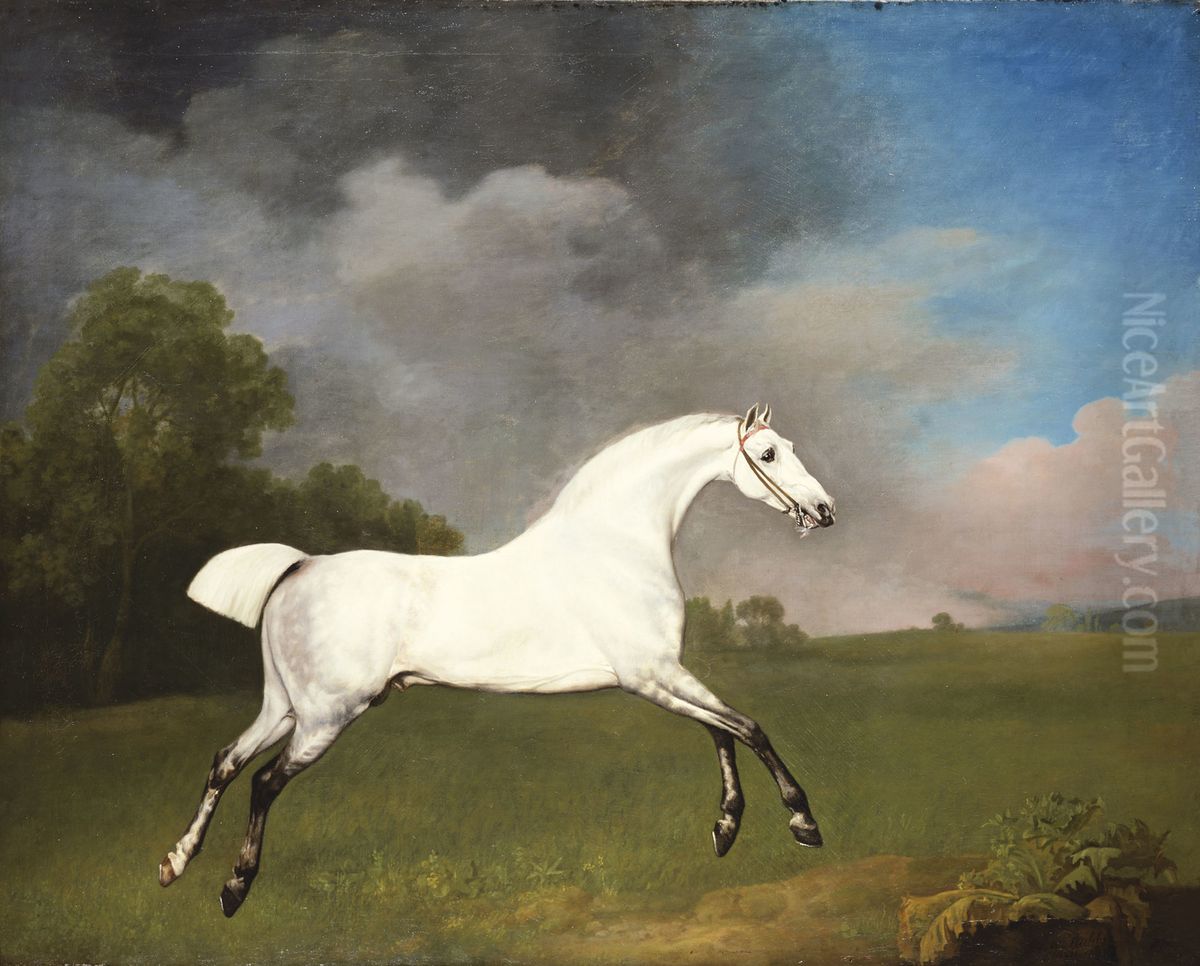 A Grey Horse Oil Painting by George Stubbs