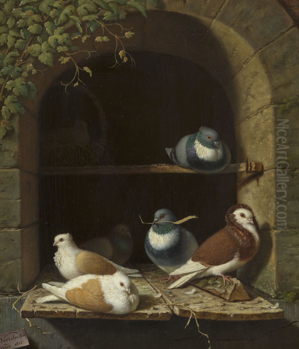 Pigeons Oil Painting by Henry Voordecker